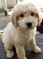 Click to view classifieds MNGMNQSN