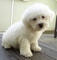 Click to view classifieds ONZQBKXW