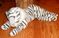 Click to view classifieds RZUUUXWE
