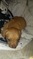 Click to view classifieds OBNUKEBG