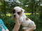 Click to view classifieds XSFSNDLT