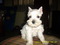 Click to view classifieds JJMGWAYO