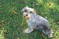 Click to view classifieds XFPKNLFP
