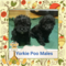 Click to view classifieds WKMBHJQR