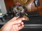 Click to view classifieds QERJEVBY
