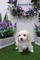 Click to view classifieds PQAEQANH
