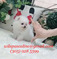 Click to view classifieds ACQEVAWP