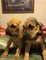 Click to view classifieds WVOEPJMF