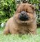 Click to view classifieds DXLCHPUY