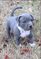 Click to view classifieds GOGZBHNW