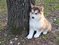 Click to view classifieds JWZOGMMV
