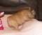 Click to view classifieds CZHNPBZB