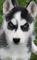 Click to view classifieds HTORMWUV