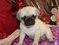 Click to view classifieds RYOLVCWK