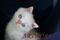 Click to view classifieds ECDUXZJZ