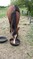 Click to view classifieds ULUATEOO
