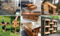 Click to view classifieds BUHABTDG