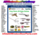 Click to view classifieds UMLAALPR