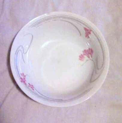 TRISA China