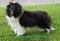 Click to view classifieds LMWOJTAT