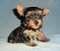 Click to view classifieds VPGZKWNC
