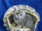 Click to view classifieds RGWCYGCA