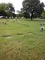 Click to view classifieds BUHDXTMF