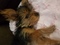 Click to view classifieds ZMTFPVLL