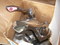 Click to view classifieds PFKMSNVT