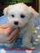 Click to view classifieds PUWQAACQ