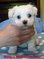 Click to view classifieds CZUNDSJM
