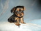 Click to view classifieds KYTXMATE