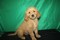 Click to view classifieds RSTQMRGW