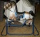 Click to view classifieds PYZCYENL