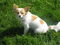 Click to view classifieds RFPJUFEA