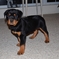 Click to view classifieds EQHFEVLJ