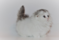 Click to view classifieds QGQEWOXJ