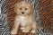 Click to view classifieds GXMXWOXM