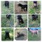 Click to view classifieds LZHSDBOO