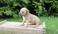 Click to view classifieds JWXNNKFD