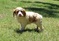 Click to view classifieds QRTPZZHK