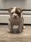 Click to view classifieds CWZTGHAL
