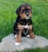 Click to view classifieds UZAAYZBV