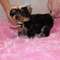 Click to view classifieds LXWDFOWQ
