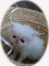 Click to view classifieds NNVOBTVP