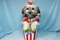 Click to view classifieds FNUASUAW