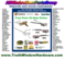 Click to view classifieds TVBWBFVO