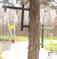 Click to view classifieds GWCJPAMQ