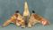 Click to view classifieds ETQDZNWY