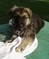 Click to view classifieds VCXBUXLS